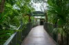 19 Ossington Circuit, Julago, Qld 4816-Image