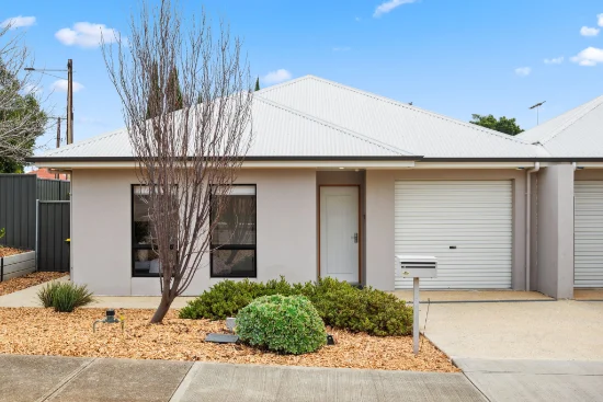 19 Parson Street, Sturt, SA 5047