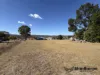 19 Phelhampton Crescent, Jennings, NSW 4383-Image