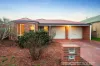 19 Protea Street, Carrum Downs, Vic 3201-Image