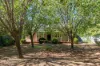 19 Railway Street, Euroa, Vic 3666-Image