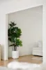 19 Reed Park Place, Horsley, NSW 2530-Image