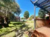 19 Riddell Road, Wantirna South, Vic 3152-Image