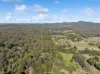 19 Rosemount Drive, Willow Vale, Qld 4209-Image