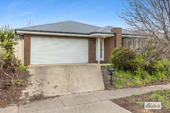 19 Sadlier Street, Wodonga, Vic 3690
