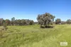 19 Sanctuary Lane, Ettamogah, NSW 2640-Image