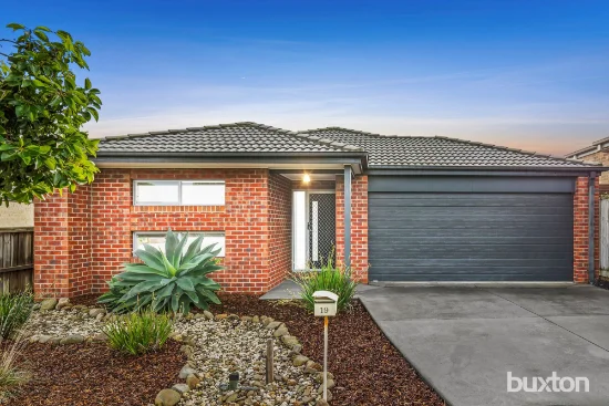 19 Seagrass Street, Leopold, Vic 3224
