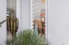 19 Springfield Circuit, Cannonvale, Qld 4802-Image
