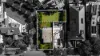 19 St Ninians Road, Brighton, Vic 3186-Image