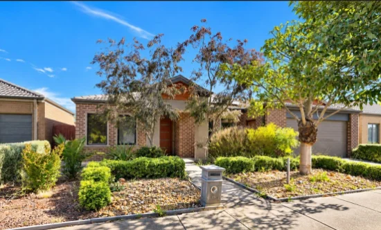 19 Swordgrass Avenue, Tarneit, Vic 3029