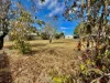 19 Symes Street, Stanthorpe, Qld 4380-Image