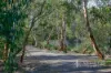 19 Tate Avenue, Mount Barker, SA 5251-Image
