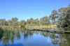 19 Tate Avenue, Mount Barker, SA 5251-Image