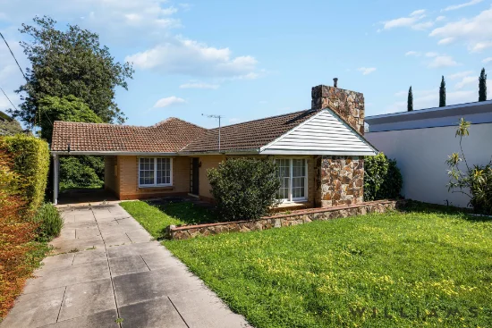 19 Taylor Terrace, Rosslyn Park, SA 5072