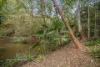 19 Taylors Lane, Ewingsdale, NSW 2481-Image