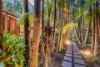 19 Taylors Lane, Ewingsdale, NSW 2481-Image