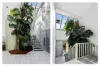 19 Thomas Mitchell Crescent, Sunshine Bay, NSW 2536-Image