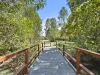 19 Thomas Street, Birkdale, Qld 4159-Image