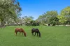 19 Tierney Drive, Currumbin Waters, Qld 4223-Image