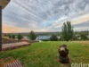 19 Timbertop Crescent, Drouin, Vic 3818-Image