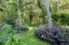 19 Tinaroo Place, Tewantin, Qld 4565-Image