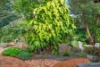 19 Tulkaba Road, Wyee, NSW 2259-Image