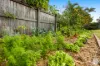 19 Valencia Street, Maroochydore, Qld 4558-Image