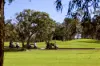 19 Valerie Street, Clontarf, Qld 4019-Image