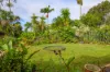 19 Vanguard Court, Cooloola Cove, Qld 4580-Image