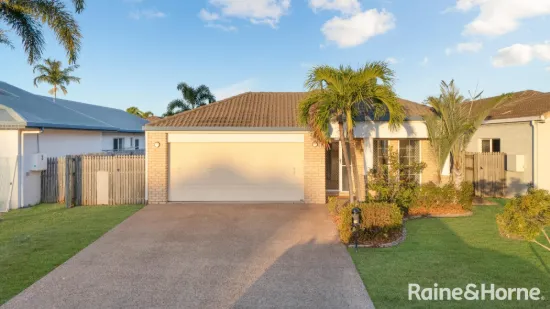 19 Vascoe Lane, Kirwan, Qld 4817