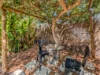 19 Wanguri Terrace, Wanguri, NT 0810-Image