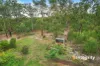 19 Wattle Court, Castella, Vic 3777-Image