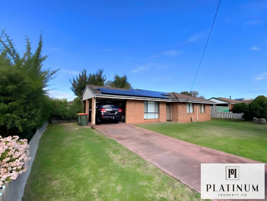 19 Webber Street, Carey Park, WA 6230