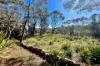 19 West Street, Leura, NSW 2780-Image