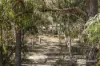 19 Willandra Loop, Yanchep, WA 6035-Image