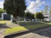 19 William Street, Wingham, NSW 2429-Image