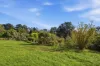 19 Willung South School Road, Willung South, Vic 3847-Image