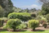 19 Windle Place, Quedjinup, WA 6281-Image