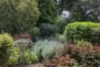 19 Windle Place, Quedjinup, WA 6281-Image
