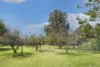 19 Windle Place, Quedjinup, WA 6281-Image