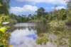 19 Windle Place, Quedjinup, WA 6281-Image