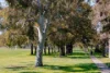 19 Wirraway Crescent, Scullin, ACT 2614-Image
