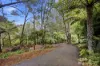 19 York Street, Warburton, Vic 3799-Image