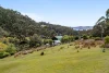 190 Cripps Road, Woodbridge, Tas 7162-Image