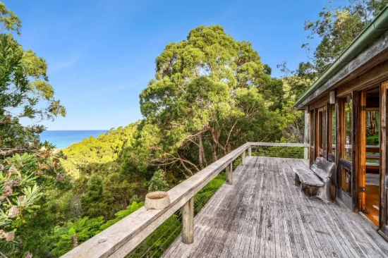 190 Hickeys Cutting, Skenes Creek, Vic 3233-Image