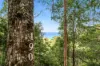 190 Hickeys Cutting, Skenes Creek, Vic 3233-Image
