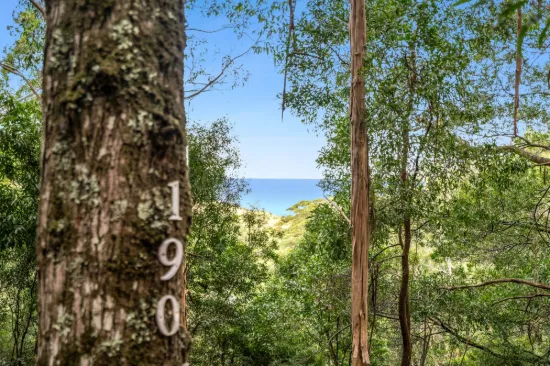 190 Hickeys Cutting, Skenes Creek, Vic 3233-Image