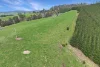 190 Jack River Valley Road, Jack River, Vic 3971-Image