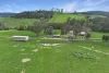 190 Jack River Valley Road, Jack River, Vic 3971-Image