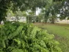 190 Macmillan Street, Ayr, Qld 4807-Image